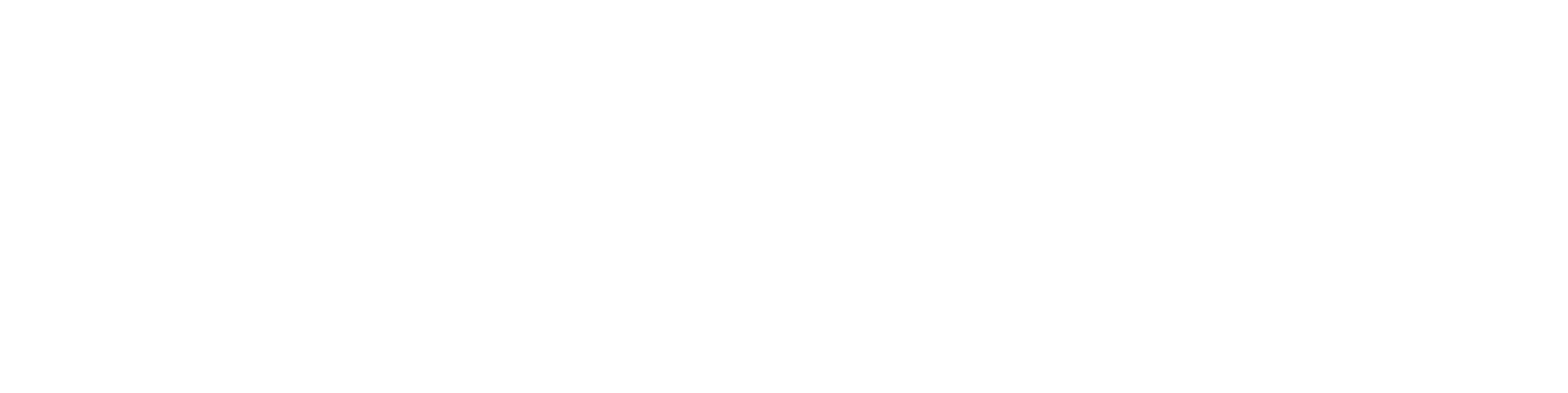 Blank white background with a thin light blue horizontal line near the bottom edge