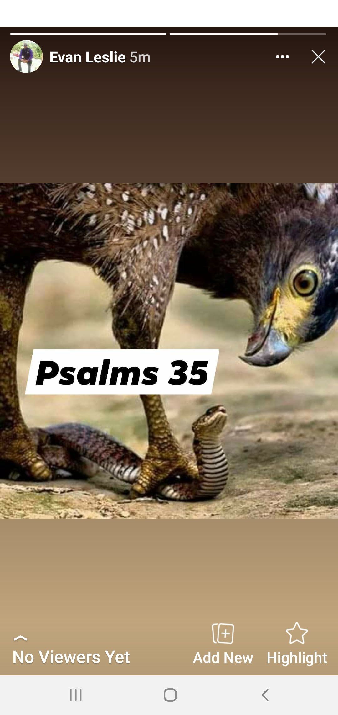 Two large birds in a nest with a white label reading “Psalms 35” overlaid in the center.